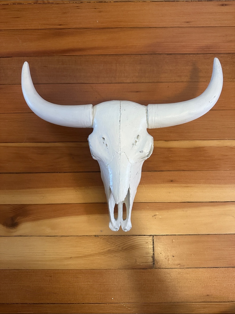 White Decorative Bull Skull Wall Art - Rustic Home Accent